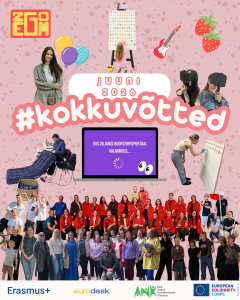 VANT kuu kokkuvõtted
